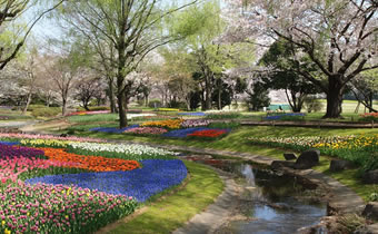 昭和記念公園